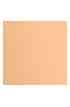 Florence 12x12" Texture -  Sorbet