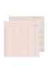 Set Sail - Ledger Peach
