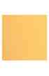 Florence 12x12" Texture -  Peach