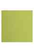 Florence 12x12" Texture -  Pistachio