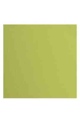 Florence 12x12" Texture -  Pistachio