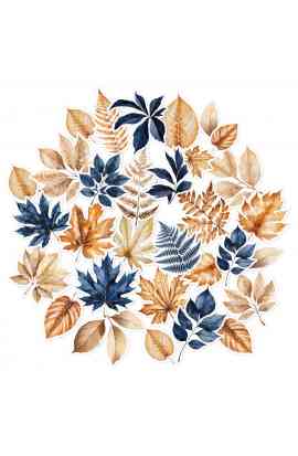 GINKGO - Die cuts illustrazioni Foglie