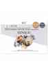 GINKGO - Kit creativo 12 carte