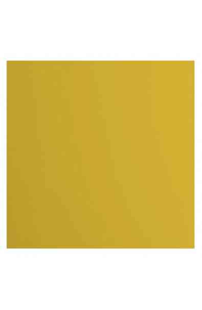 Florence 12x12" Smooth - Bee